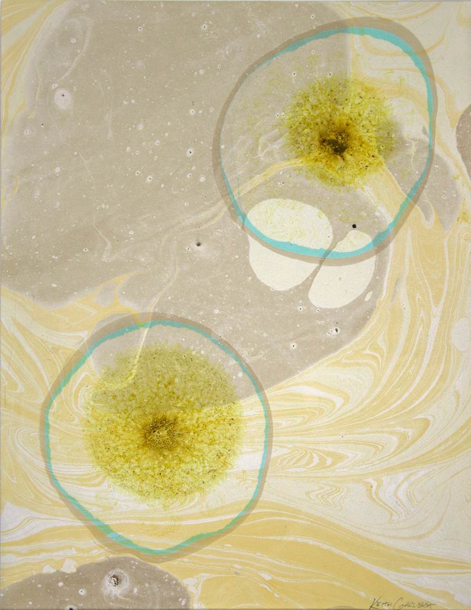 Aquatic Floater Samples 1 by Keith Garubba, Image 1.