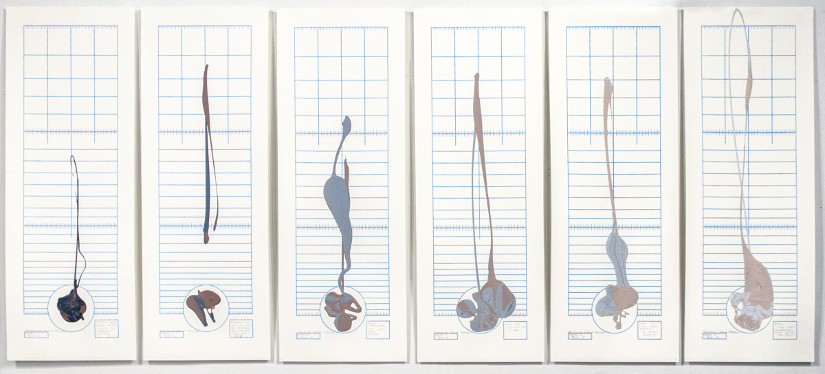 Projectile Growth Analysis by Keith Garubba 