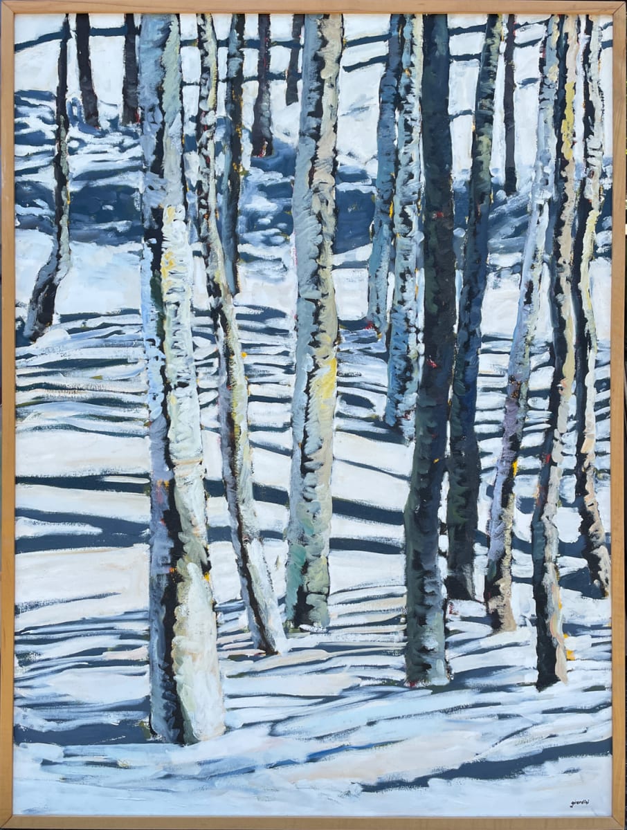 Aspen Winter by Julie and Ken Girardini 