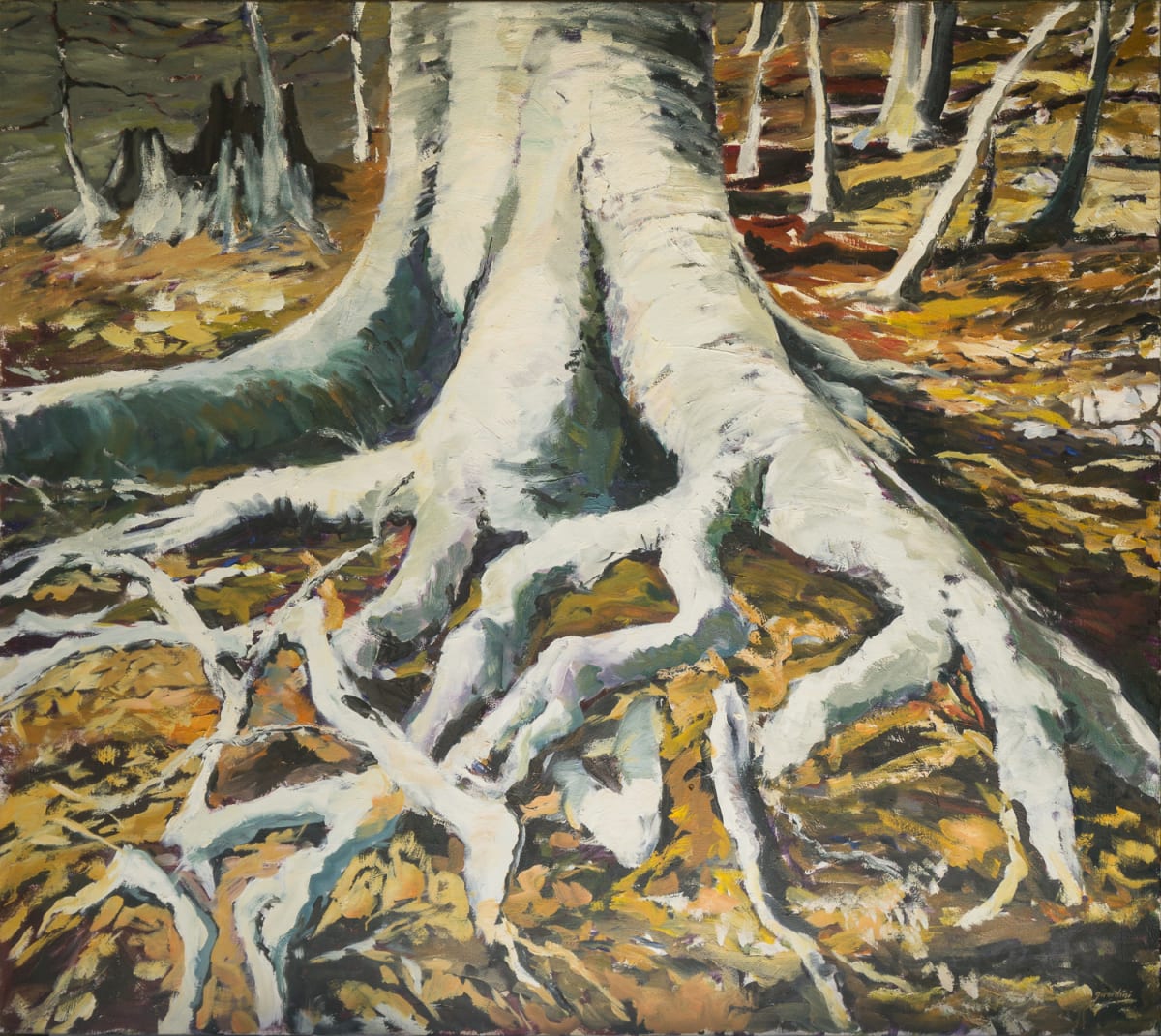 Beech Roots by Julie and Ken Girardini 