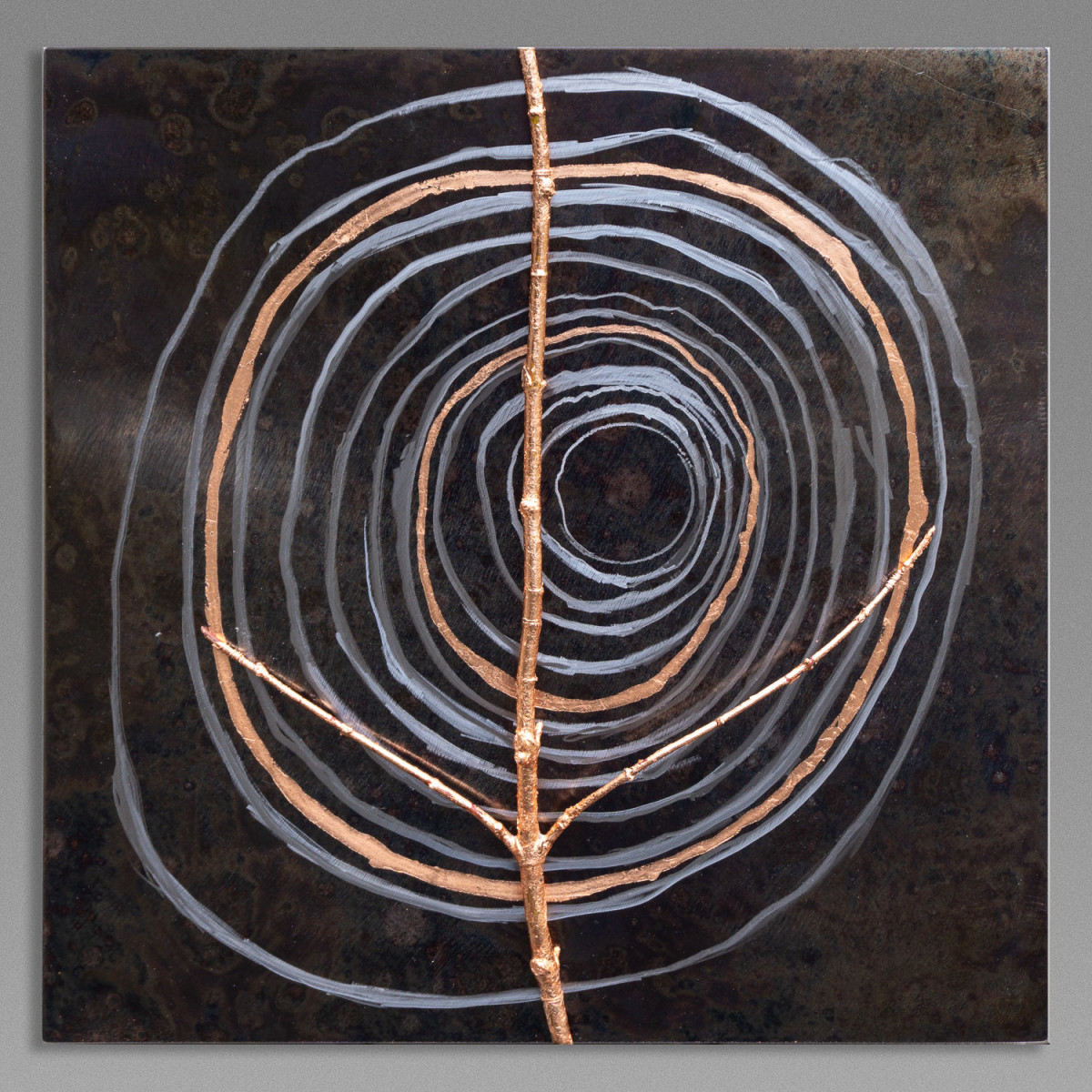 Growth Rings with Branch by Julie and Ken Girardini 