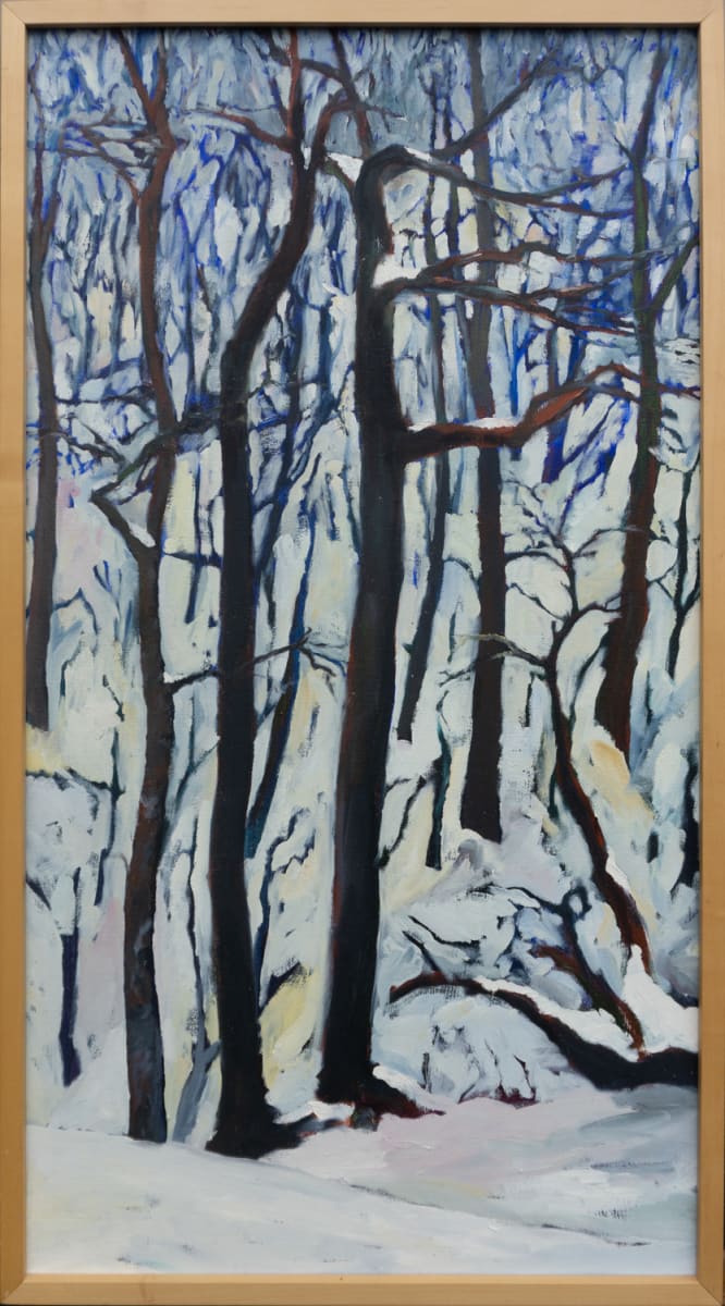 Snowed In by Julie and Ken Girardini 