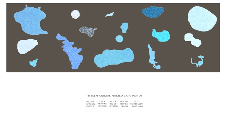 Fifteen Animal named Cape Ponds by Daniel Ranalli 