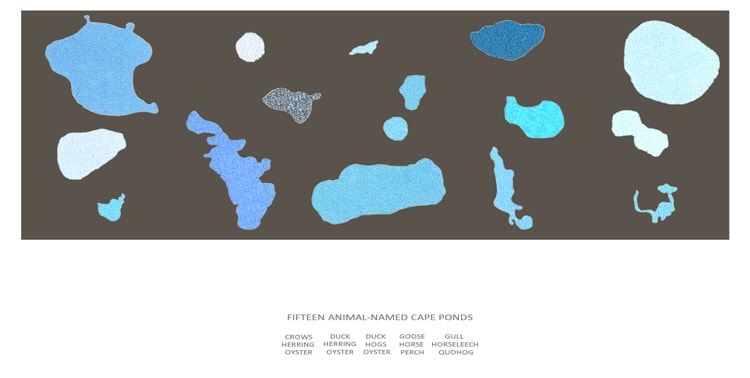 Fifteen Animal named Cape Ponds by Daniel Ranalli, Image 1.