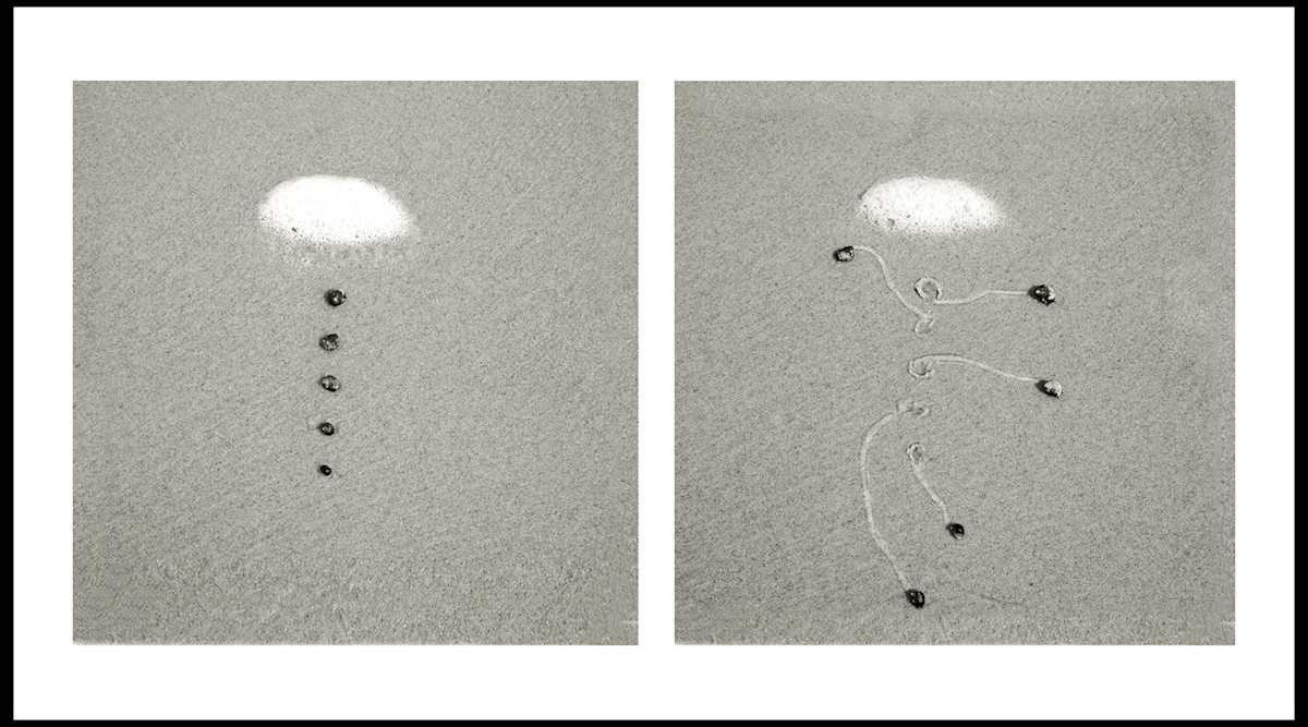 22 min.  Snail Drawing  with Foam by Daniel Ranalli, Image 1.