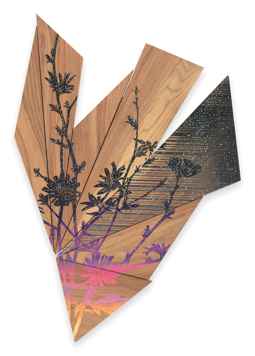 Night Chicory by Jason Middlebrook, Image 1.