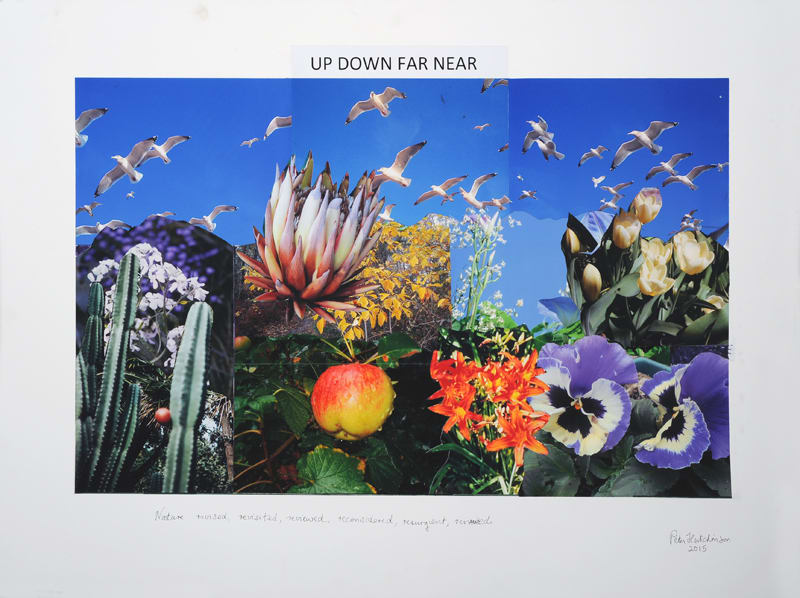 Up, Down, Near, Far by Peter  Hutchinson 