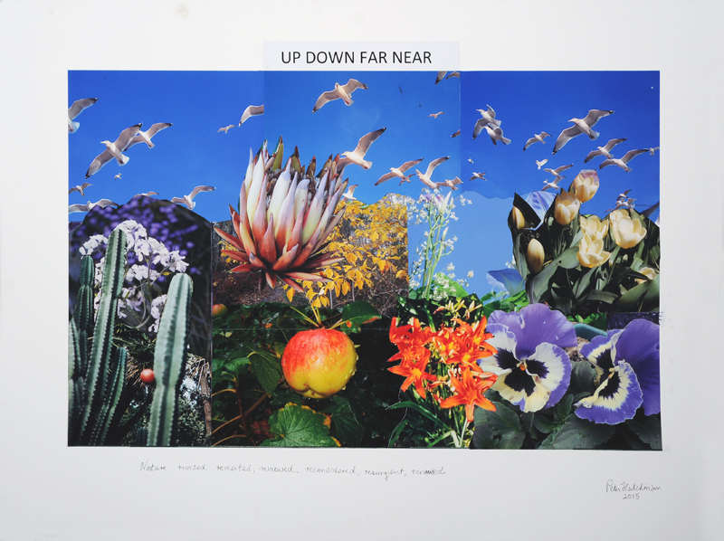 Up, Down, Near, Far by Peter  Hutchinson, Image 1.