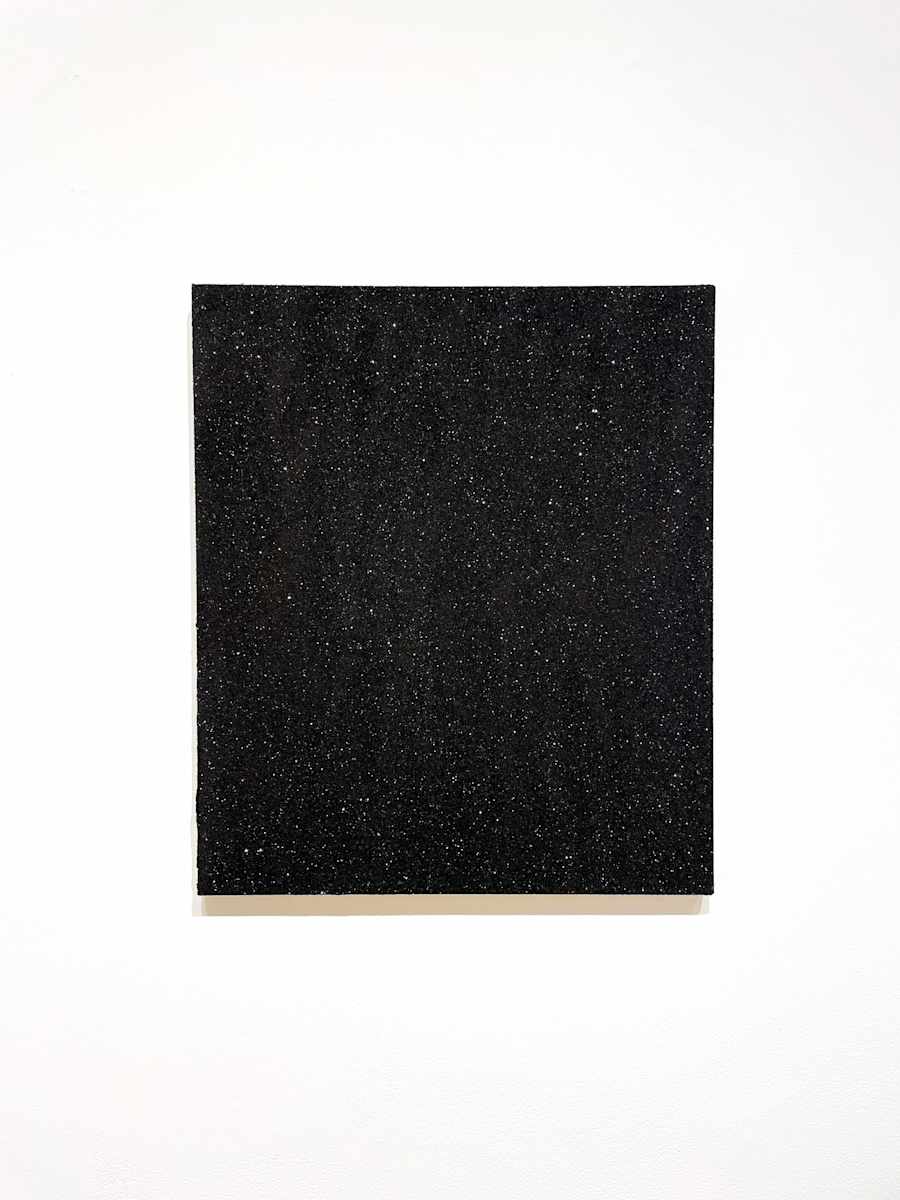Untitled by Todd Pavlisko, Image 2.