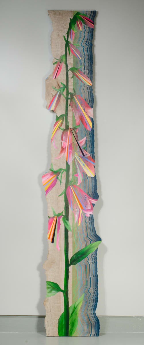 Found in Pine Forests by Jason Middlebrook, Image 1.