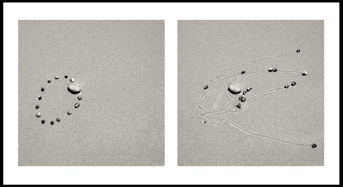 Snail Drawing: Rock Vein #1 by Daniel Ranalli 