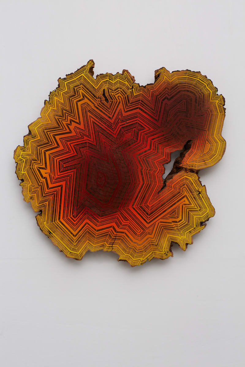 Sun King by Jason Middlebrook 