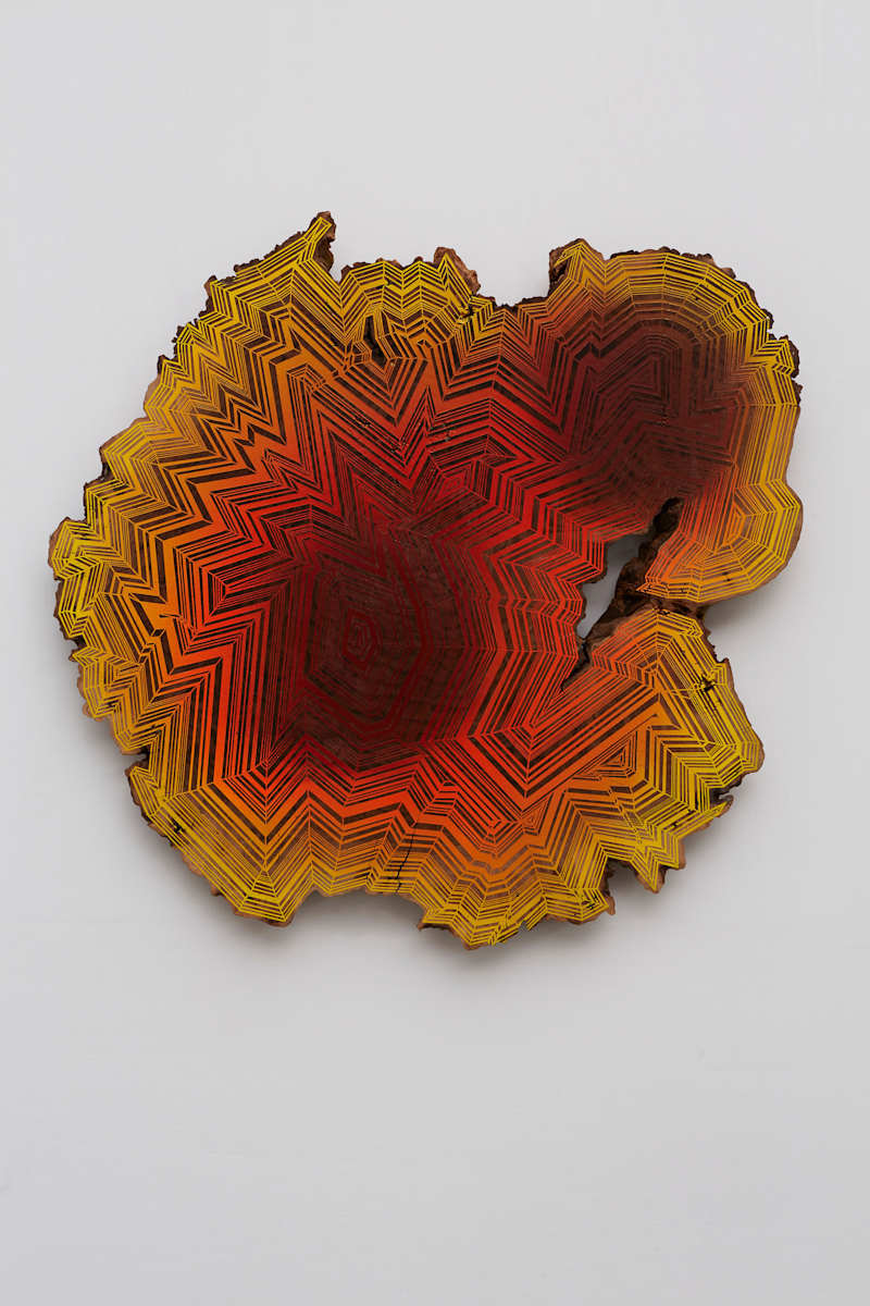 Sun King by Jason Middlebrook, Image 1.