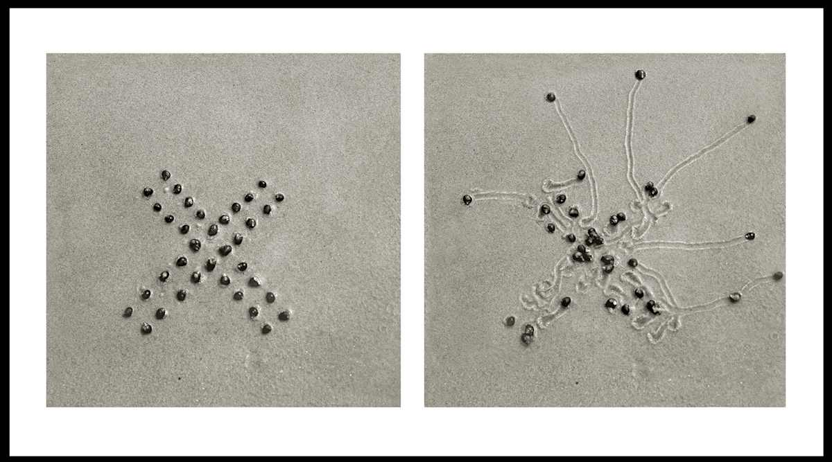 Snail Drawing: X Start by Daniel Ranalli, Image 1.