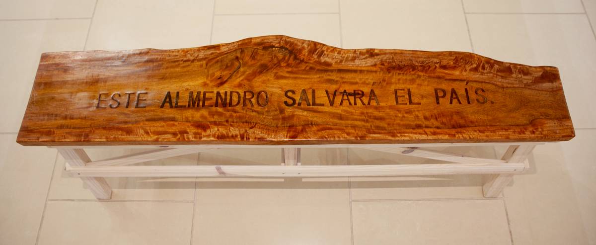 Este Almendro Salvará el País (This Almond Tree will Save the Country) by Quintin Rivera-Toro 