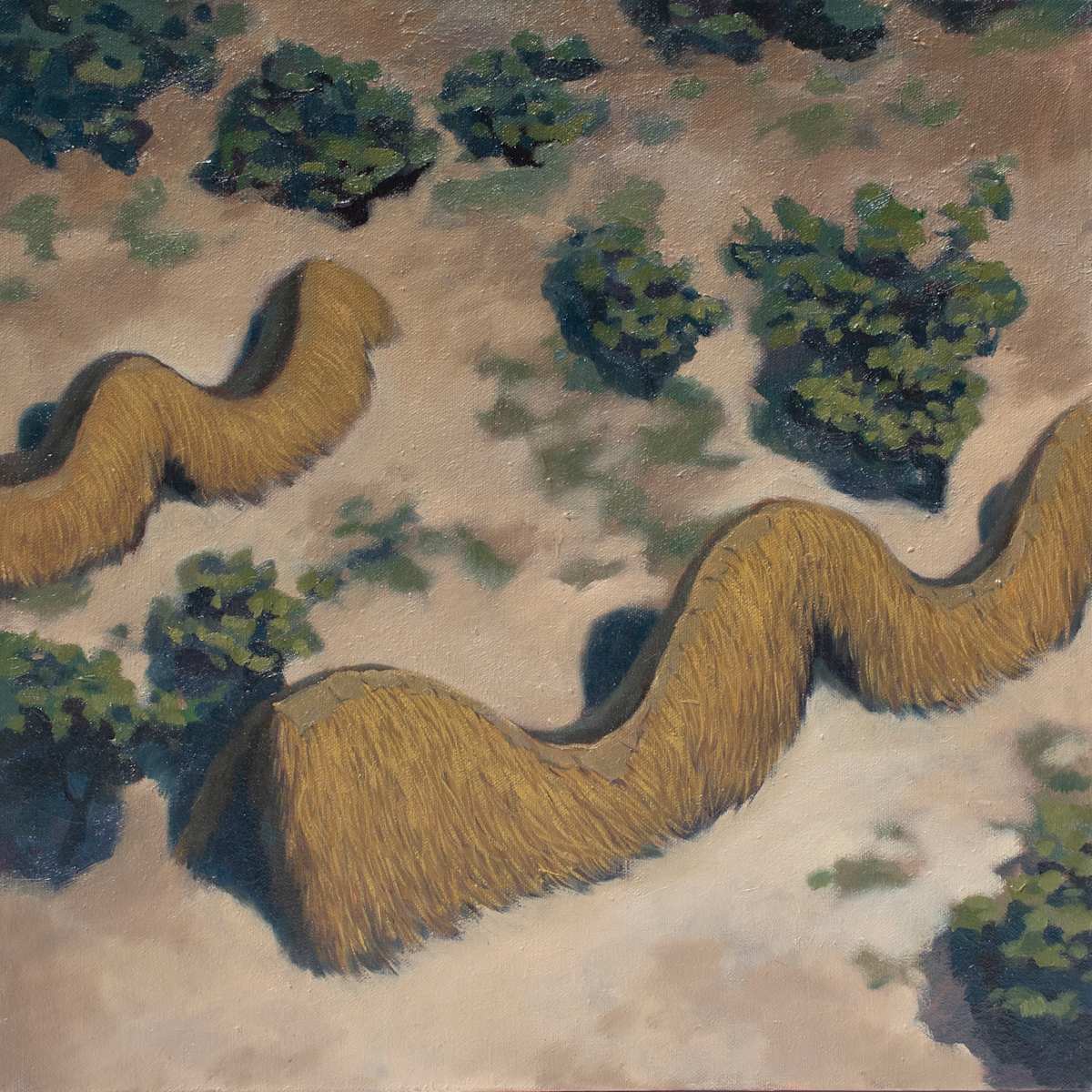 Culebra Sabanera (c. 1970) by José Morban 