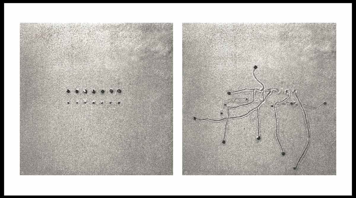 Snail Drawing: Double Line #2 by Daniel Ranalli, Image 1.
