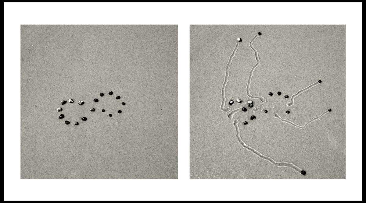 Snail Drawing: Infinity by Daniel Ranalli 