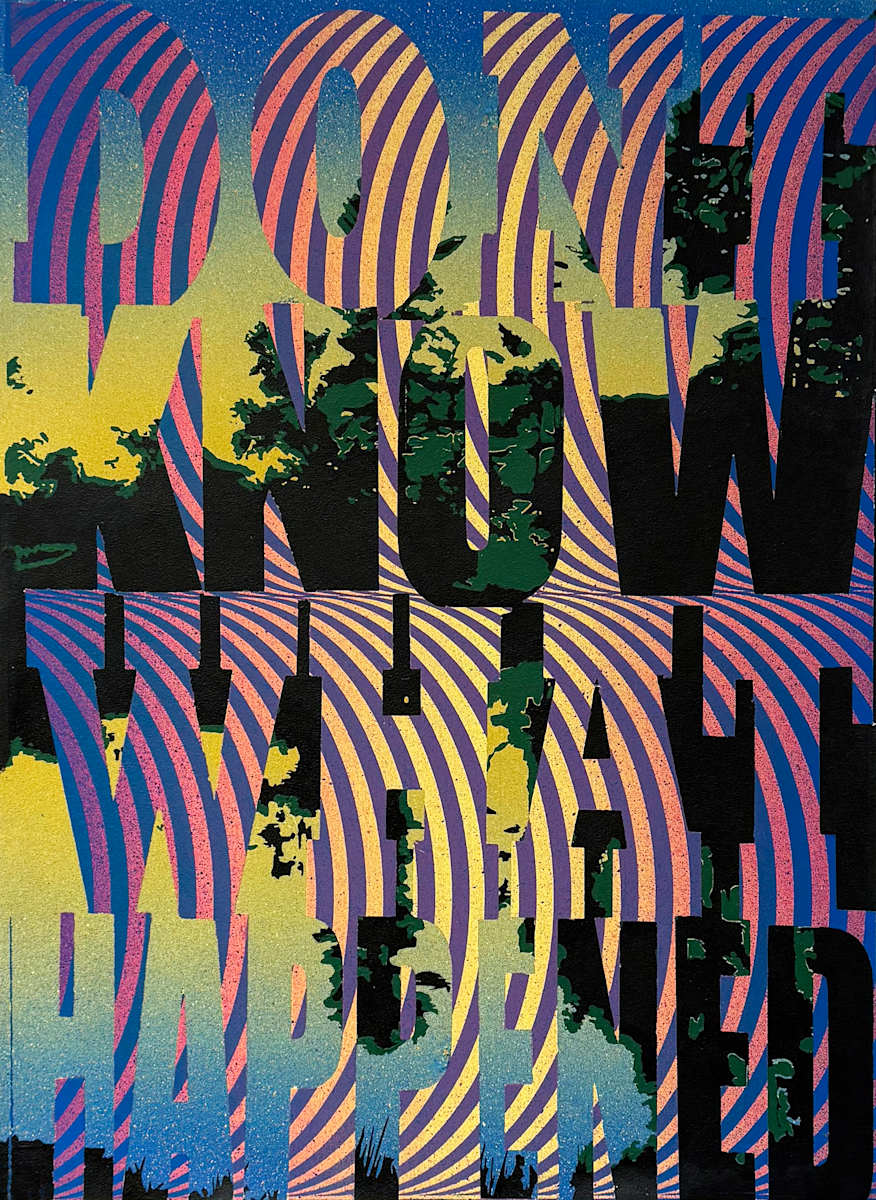 Don't Know What Happened by Joe Wardwell 