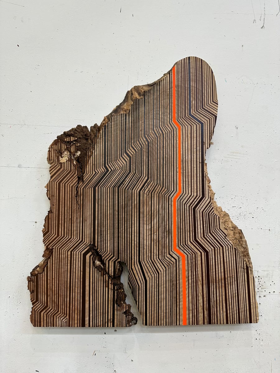 You Choose by Jason Middlebrook, Image 1.