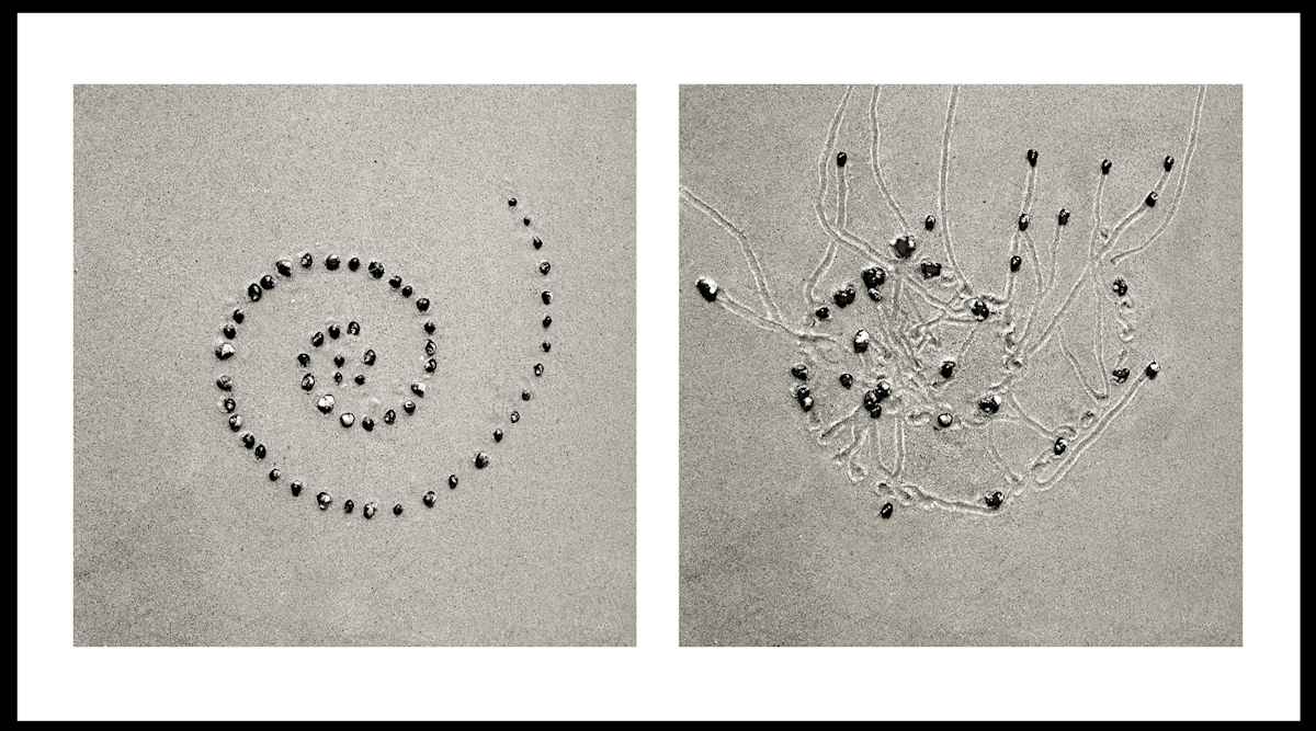 Snail Drawing: Spiral #9 by Daniel Ranalli, Image 1.