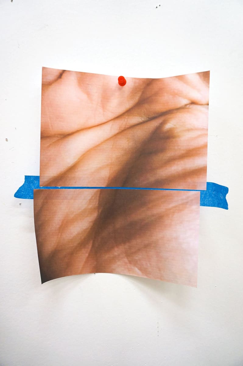 Split by Kim Faler, Image 1.