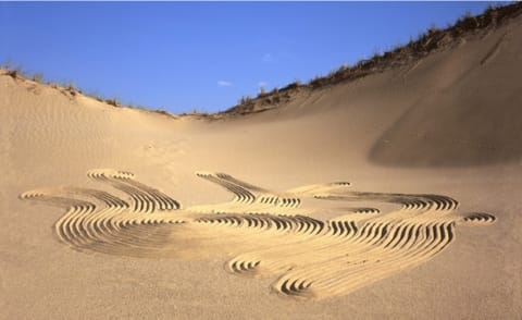 Zen Dune Series Zen Dune #17 by Daniel Ranalli, Image 1.