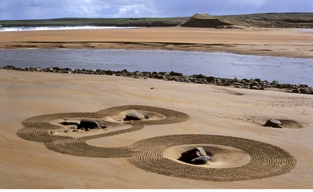 Zen Dune Series Lachan Strand #1 by Daniel Ranalli, Image 1.