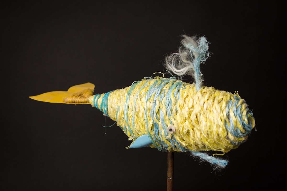 Sunny by Cindy Pease Roe 