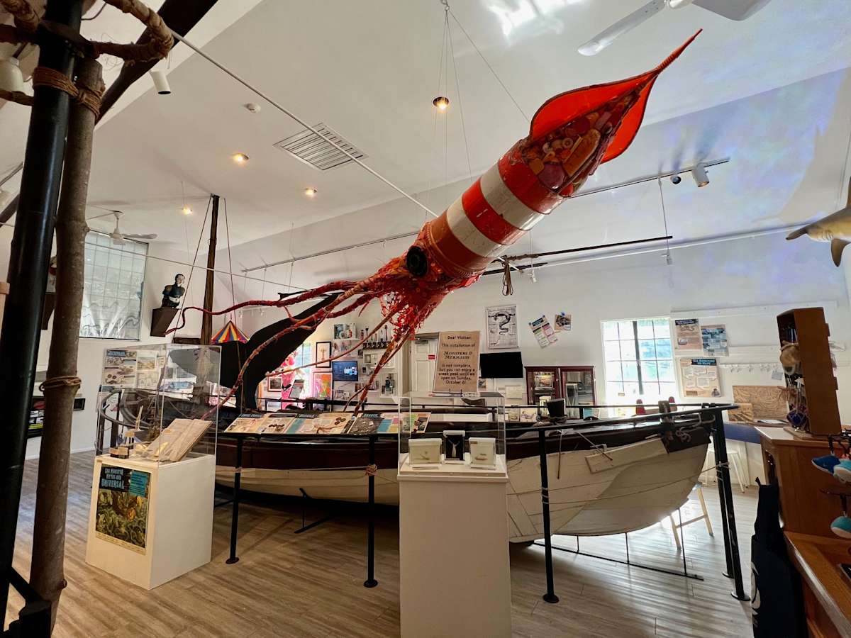 Medusa by Cindy Pease Roe 