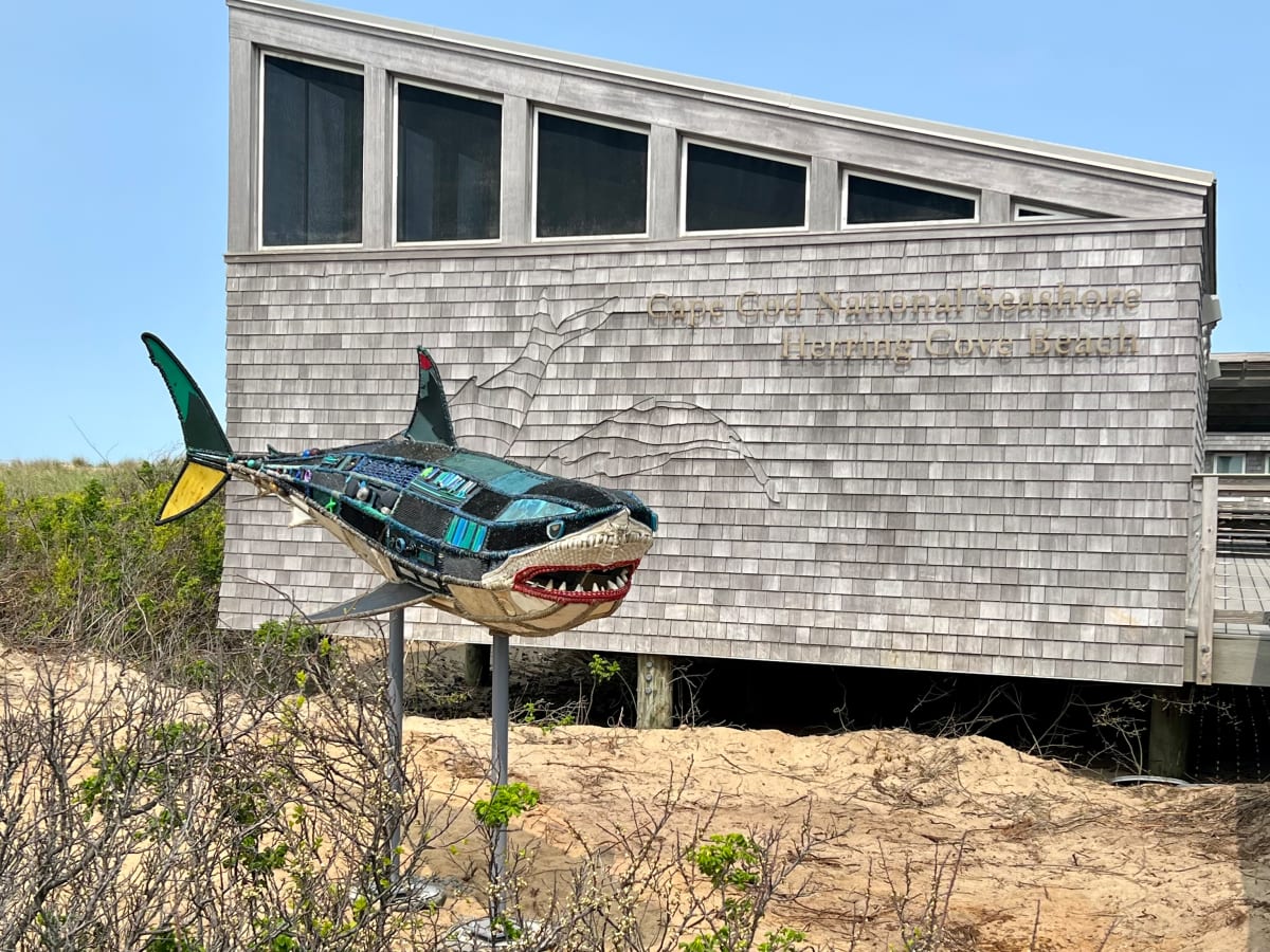 Sugar aka Mama Shug by Cindy Pease Roe 