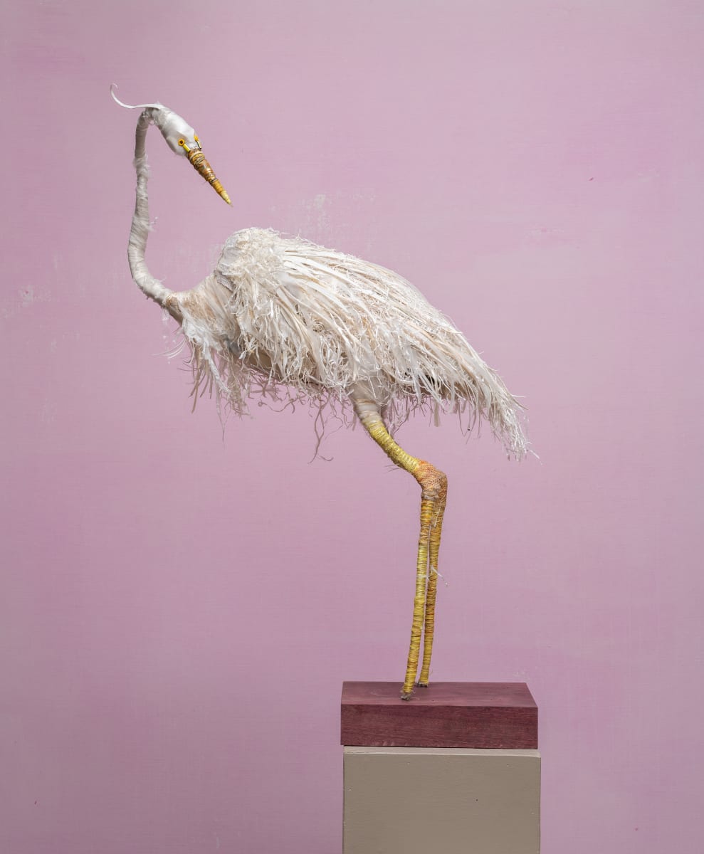 Nina : Great White Heron by Cindy Pease Roe 