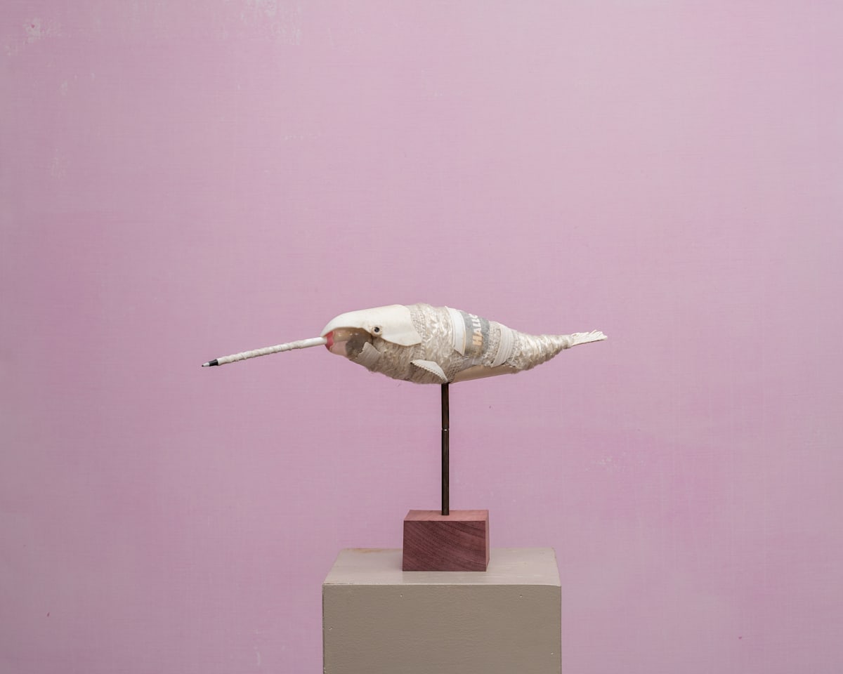 Miss Marshmallow the Narhwhal 