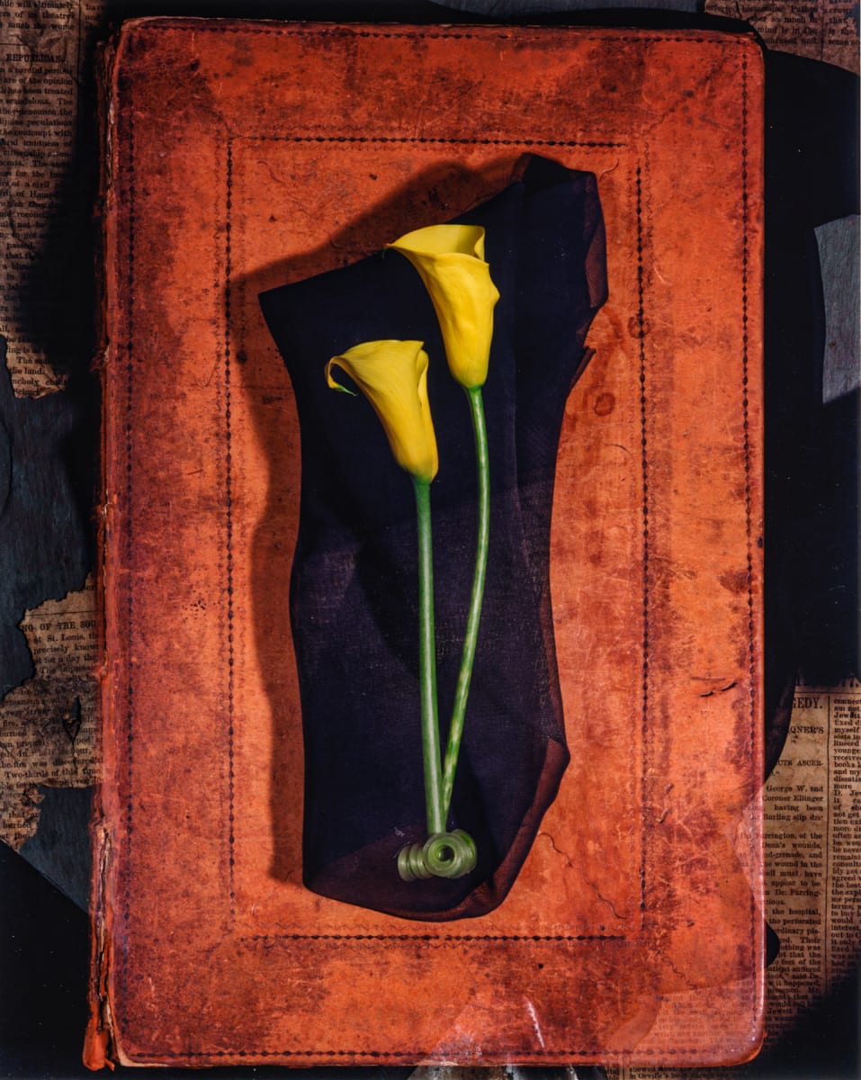 Still Life: Leather Bound Calla Lily 