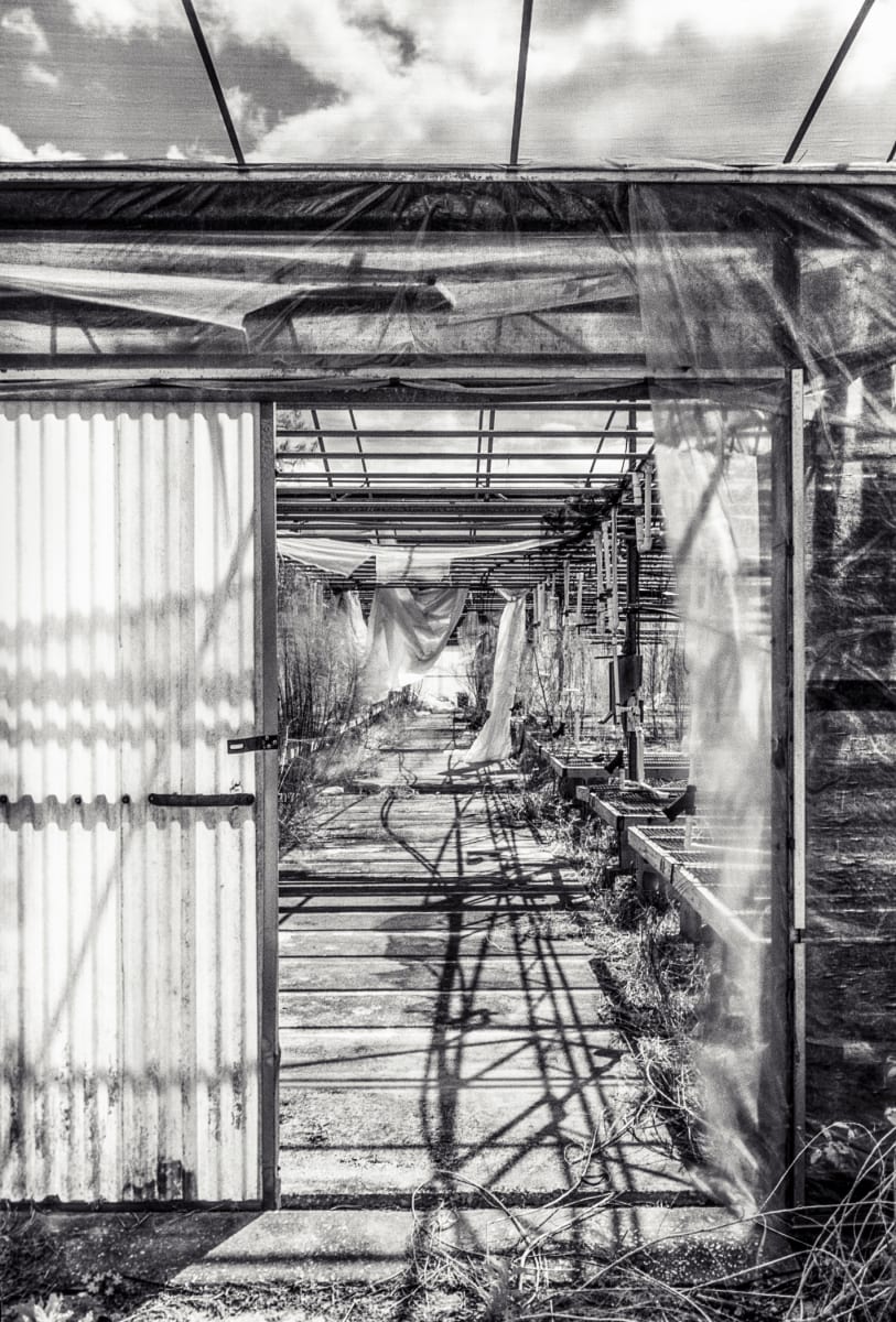 Between Worlds: The Rent Veil by Bernard C. Meyers 