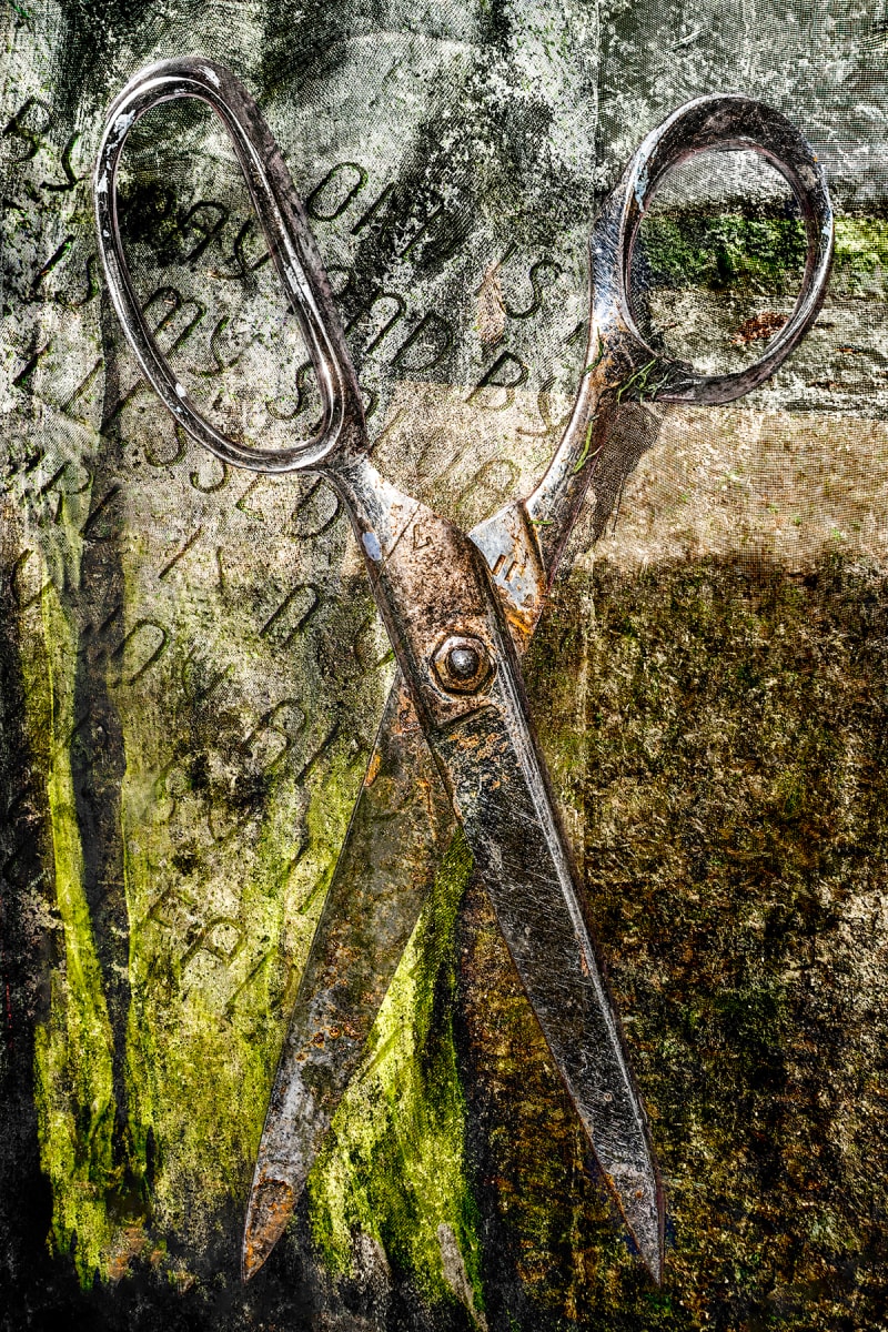 Kitchen Scissors by Bernard C. Meyers 