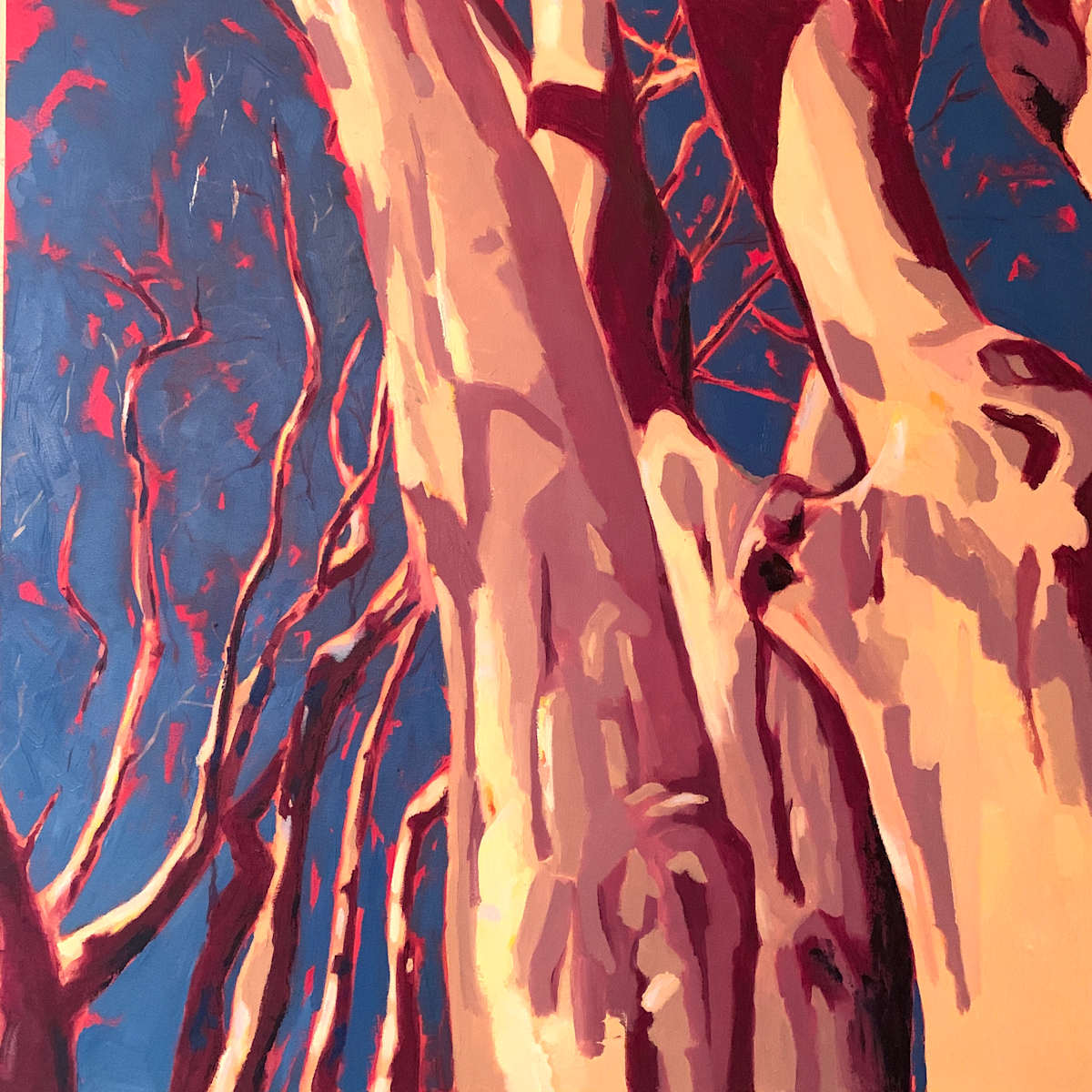 Crape Myrtles at the Nasher 