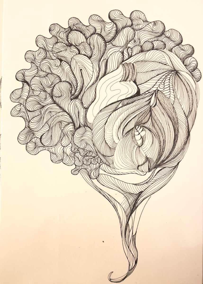 Profile of my best petals by Daniela Matchael 