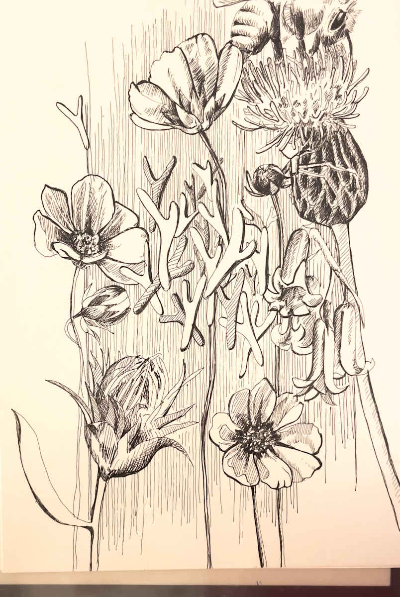Bumble Bee by Daniela Matchael, Image 11.