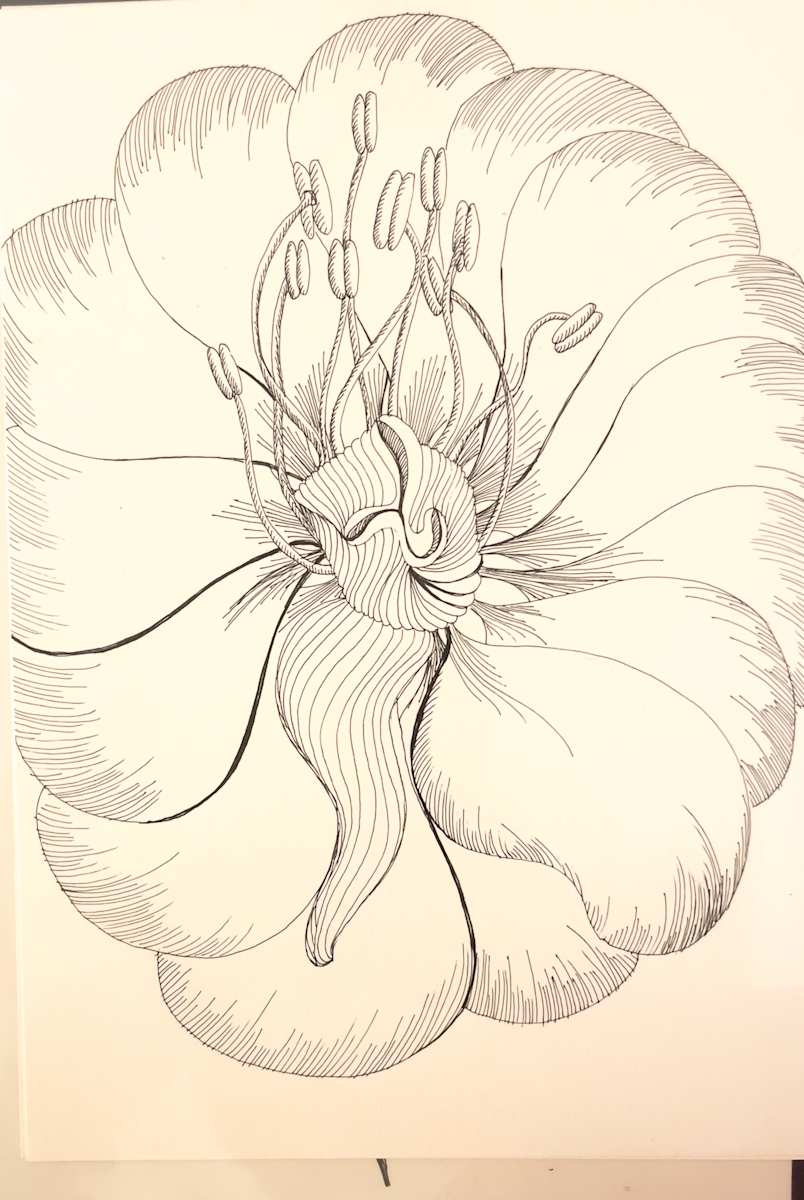 Pistills in the summer by Daniela Matchael, Image 13.