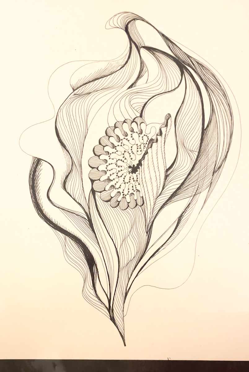 Between flower and creature by Daniela Matchael 