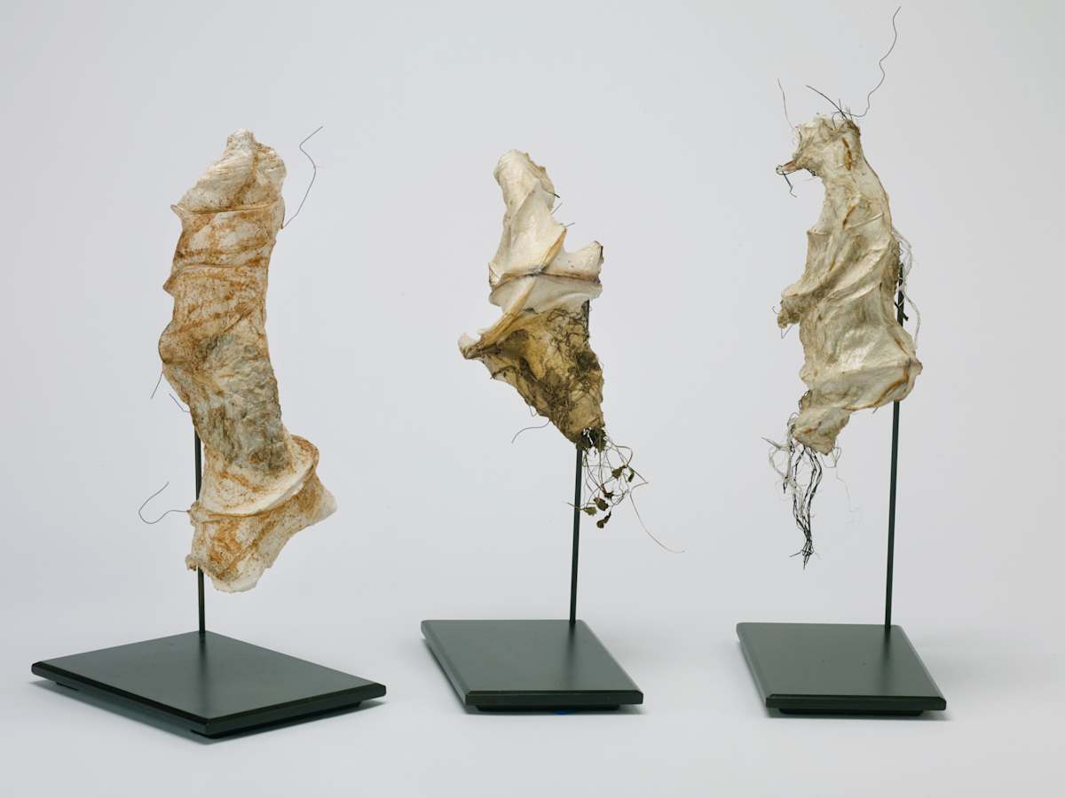 Triad of Memories by Marguerite Elliot 