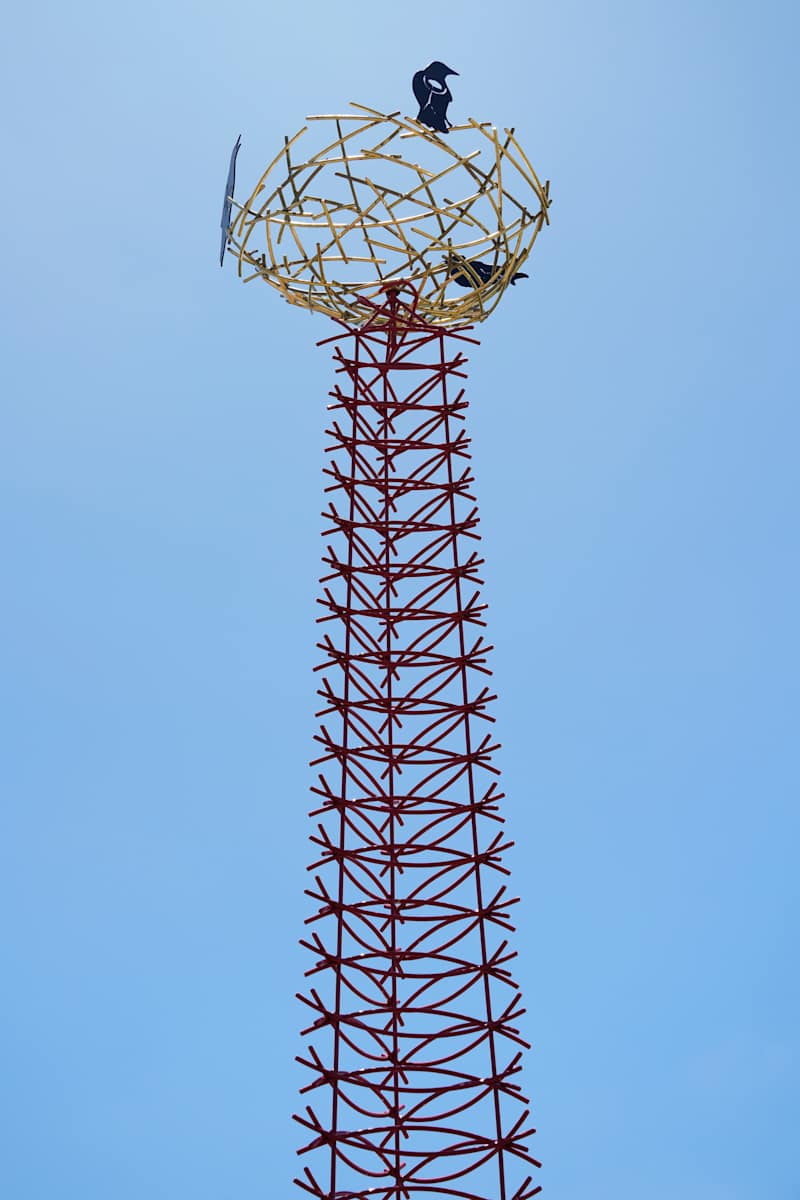 Where Have All the Birds Gone? by Marguerite Elliot  Image: Where Have All The Birds Gone? 