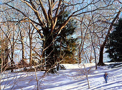 Tree in Snow by Frank Wright 