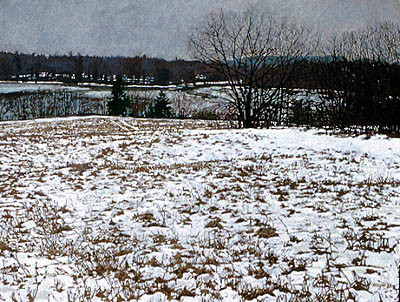 Field in Snow by Frank Wright 
