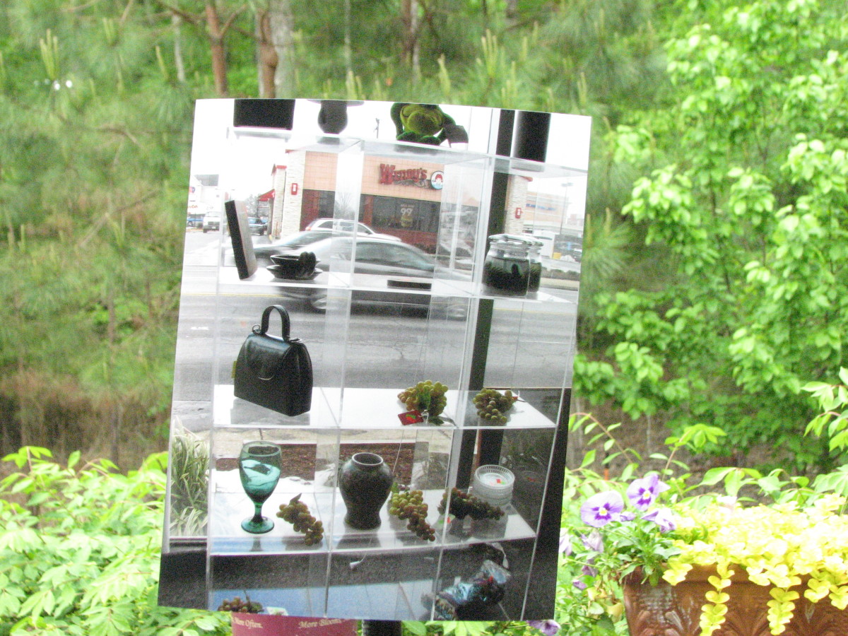 Thrift Store in Nature by aNna rybaT 