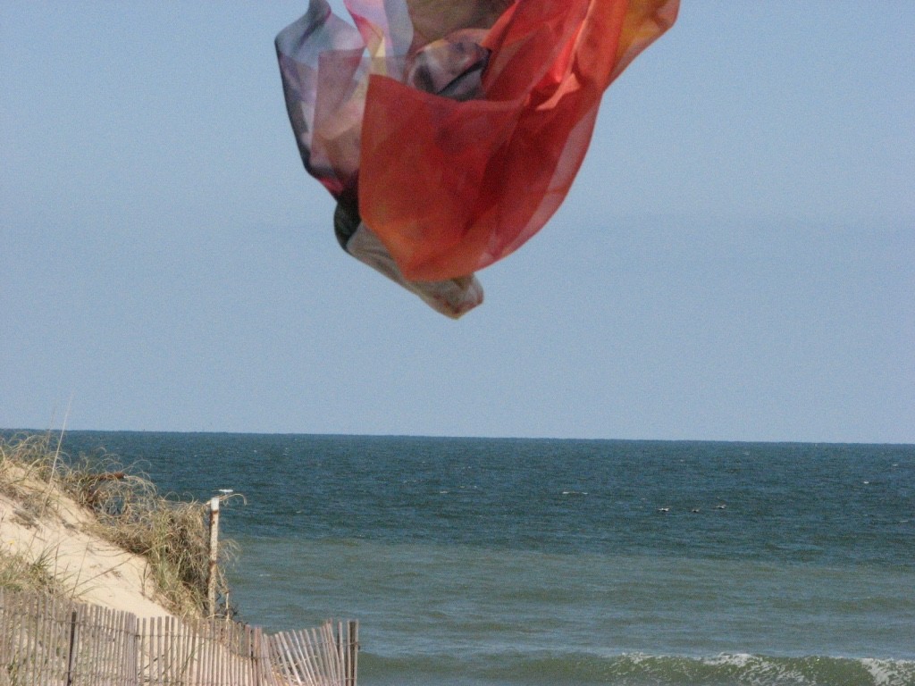 CoLorfields Flying by aNna rybaT 