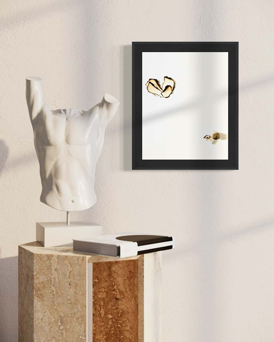 BURNT EDGES 004 by Denise Giordano 