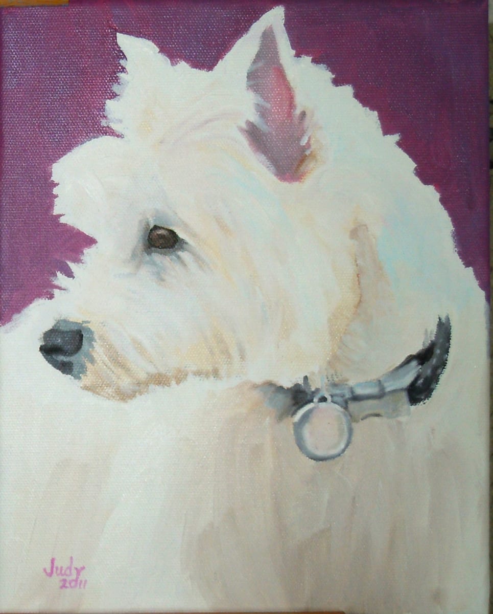 Lucca by Judy Steffens, Image 1.