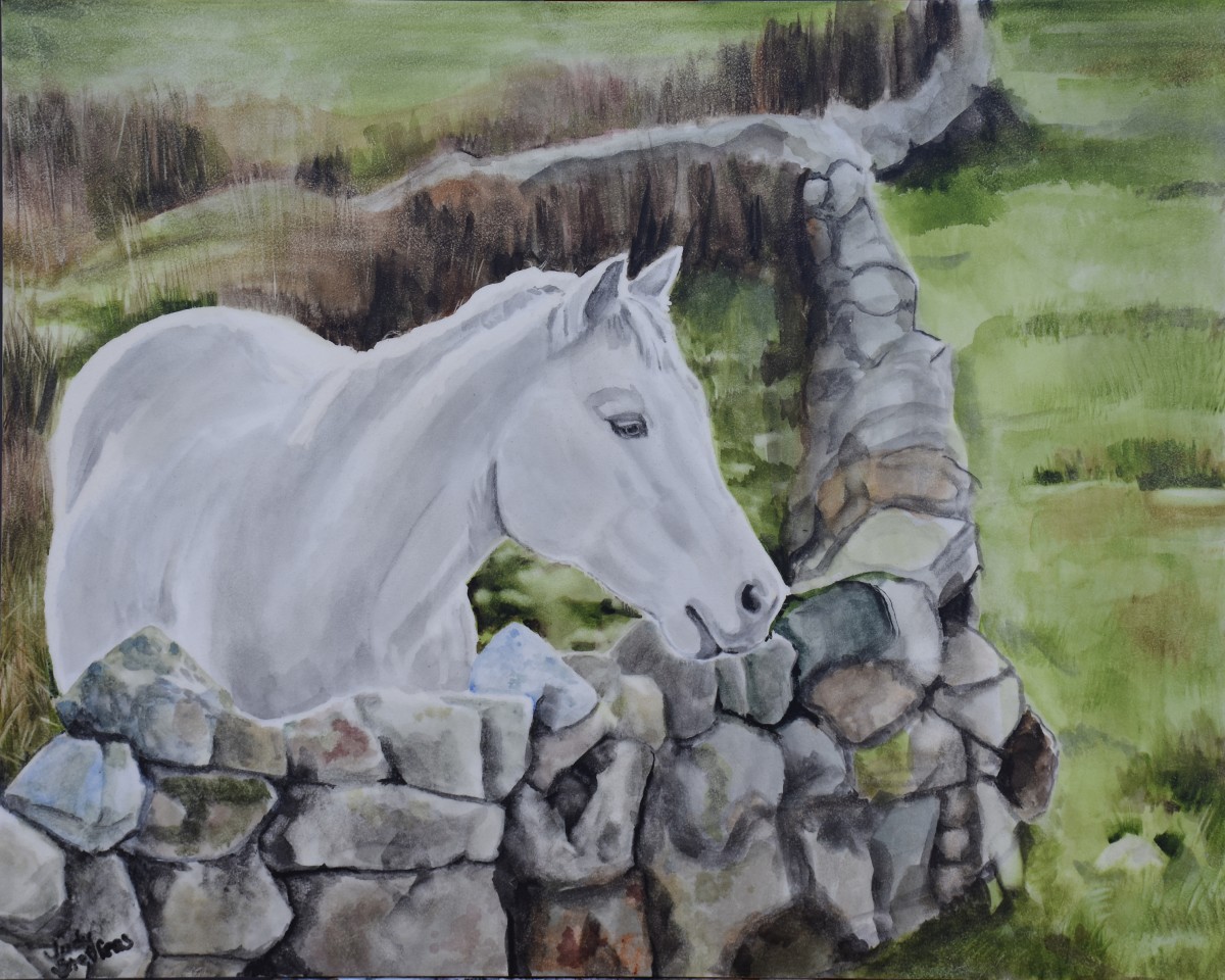 Connie by Judy Steffens, Image 1.